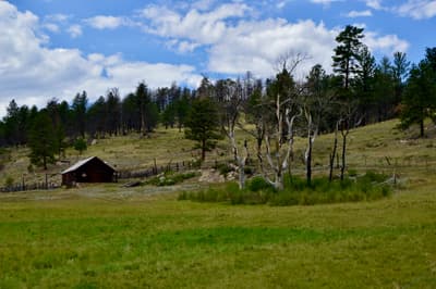 Kitchen Sink Loop photo 12