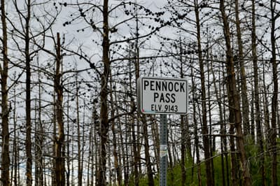 Kitchen Sink Loop photo 7