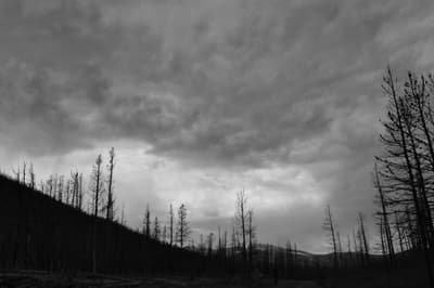 Kitchen Sink Loop photo 8